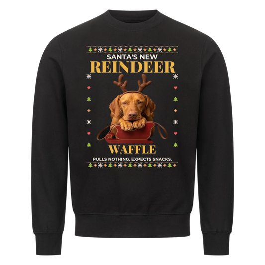 Santa's New Reindeer custom pet sweatshirt black - your dog with felt reindeer antlers lying behind a red toy sleigh, chin on its paws, knit Christmas border, with name